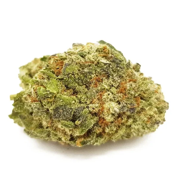 Headband Hybrid KUSH